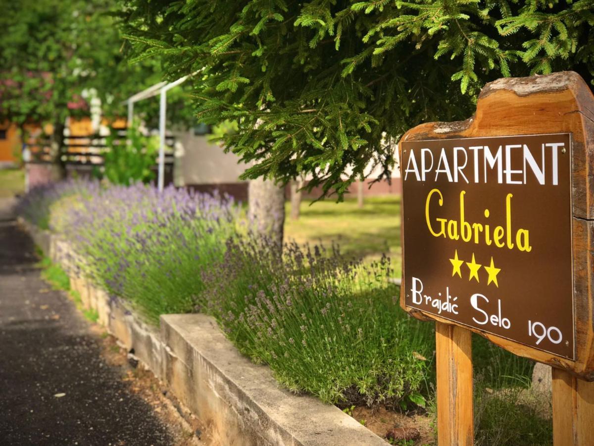Apartment Gabriela Раковица Экстерьер фото